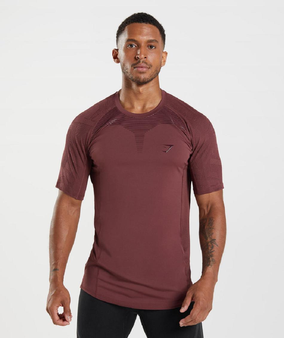 T Shirts Męskie Gymshark Form Różowe Brązowe | PL 3901GSO